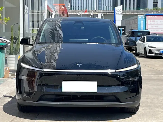 Tesla Model Y — Фото автомобиля 2