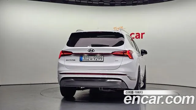 Hyundai Santa Fe Santa Fe (New) — Фото автомобиля 4