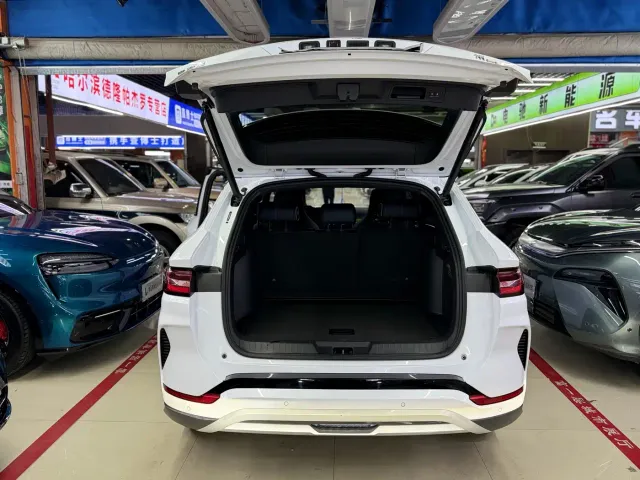 BYD Song PLUS — Фото автомобиля 15