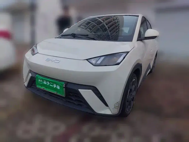 Фотография автомобиля — BYD Seagull