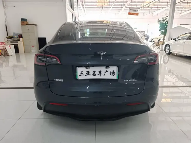 Tesla Model Y — Фото автомобиля 8