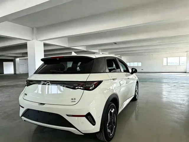 BYD Dolphin — Фото автомобиля 6