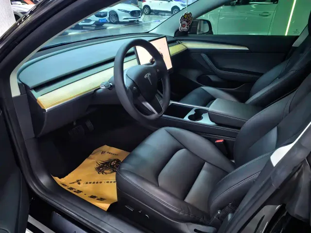 Tesla Model 3 — Фото автомобиля 6