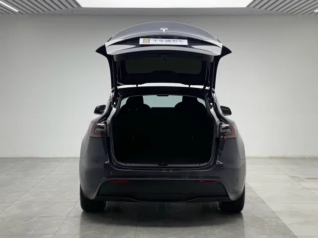 Tesla Model Y — Фото автомобиля 10