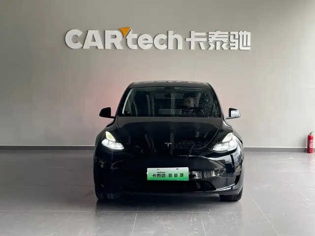 Tesla Model Y — Фото автомобиля 2