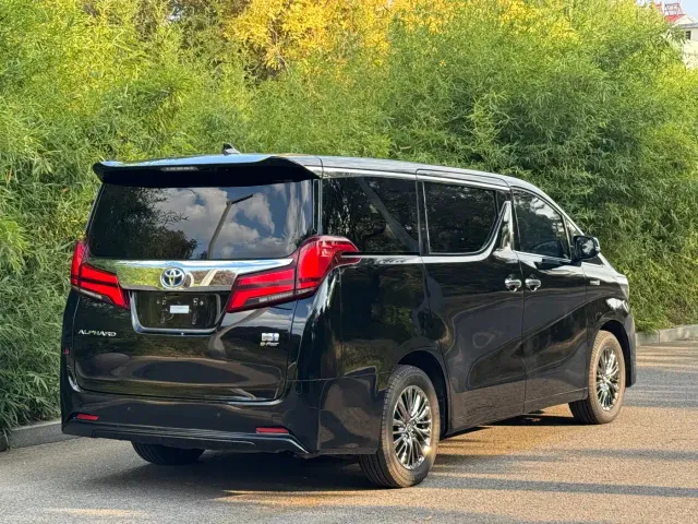 Toyota Alphard — Фото автомобиля 17