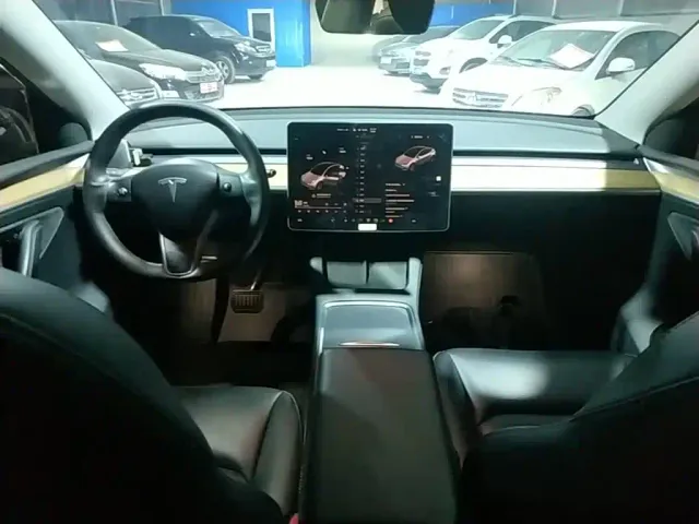 Tesla Model Y — Фото автомобиля 9