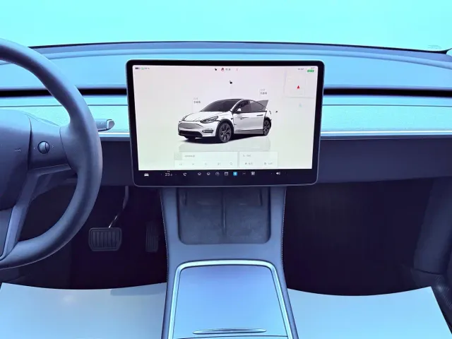 Tesla Model Y — Фото автомобиля 12