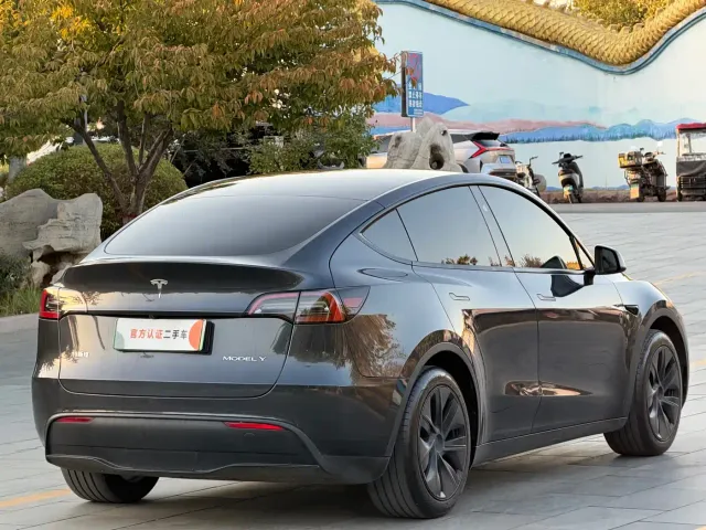 Tesla Model Y — Фото автомобиля 4