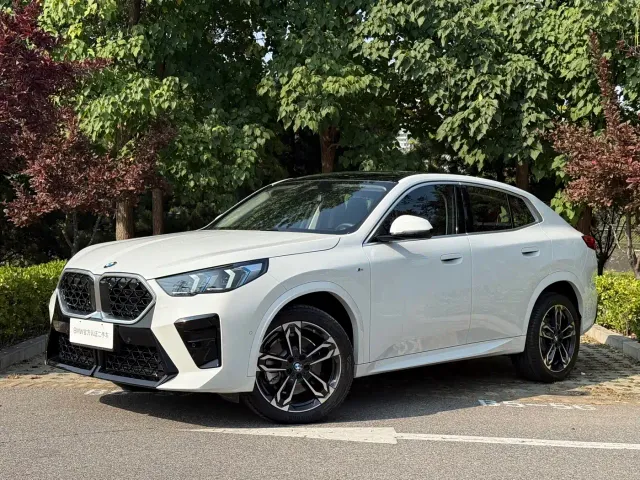 Фотография автомобиля — BMW X2