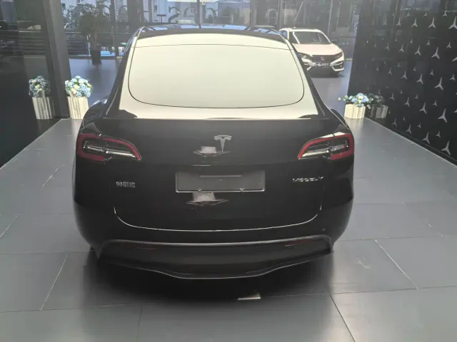 Tesla Model Y — Фото автомобиля 8