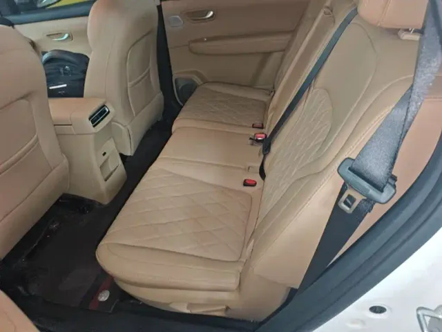 Landian E5 PLUS — Фото автомобиля 16