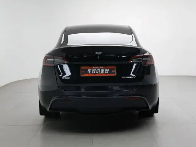 Tesla Model Y — Фото автомобиля 4