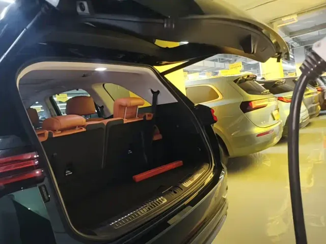 Wey Lanshan — Фото автомобиля 18