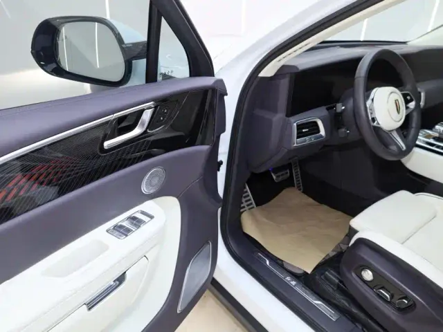 Hongqi E-HS9 — Фото автомобиля 19