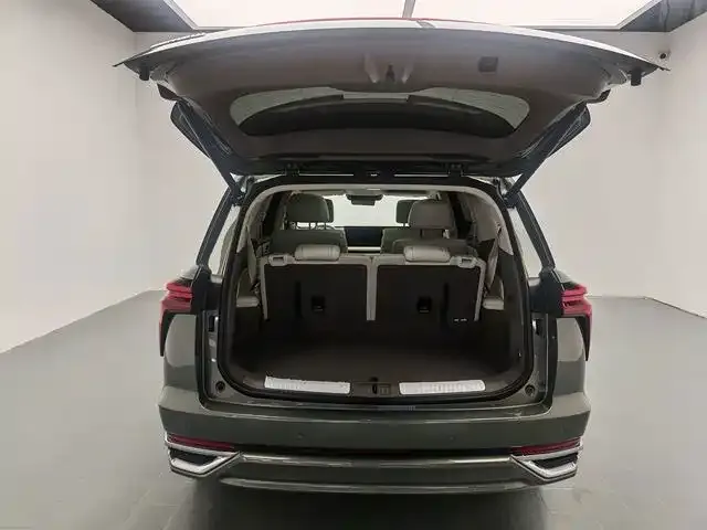 Wey Lanshan — Фото автомобиля 15