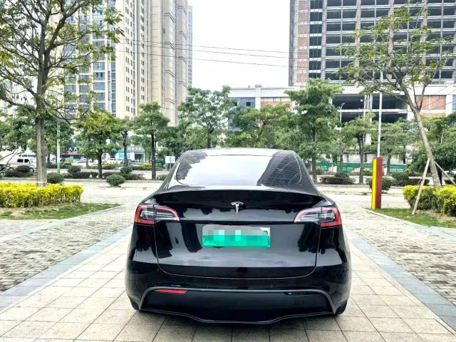 Tesla Model Y — Фото автомобиля 4