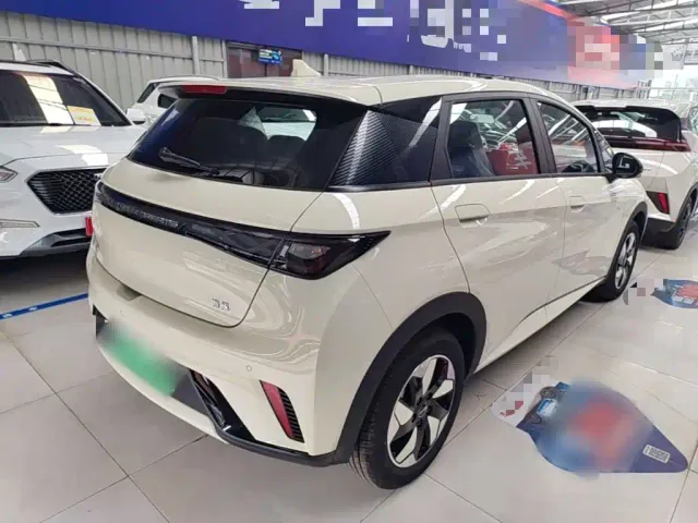 BYD Dolphin — Фото автомобиля 6
