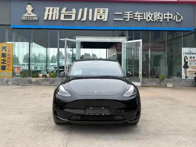 Tesla Model Y — Фото автомобиля 2