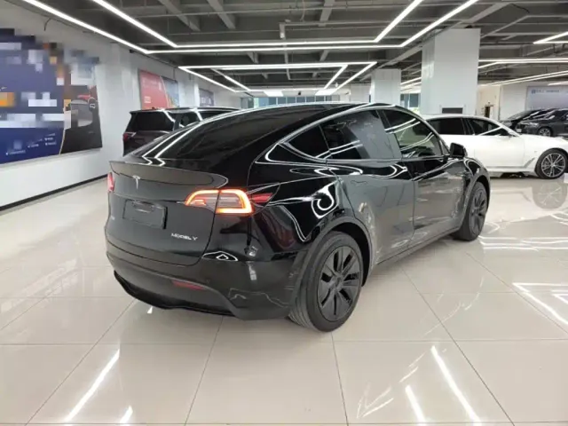 Tesla Model Y — Фото автомобиля 6