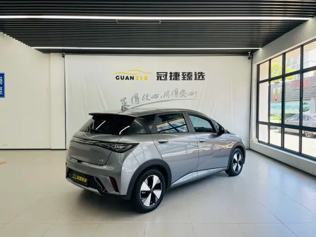 BYD Dolphin — Фото автомобиля 16
