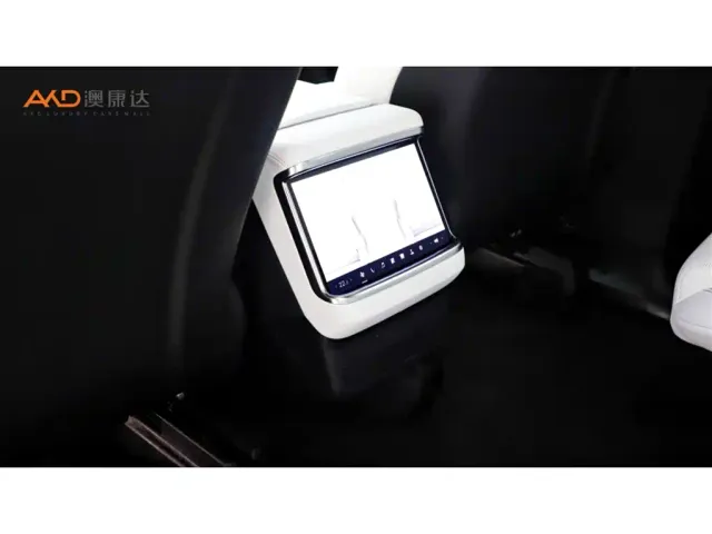 Tesla Model X — Фото автомобиля 10