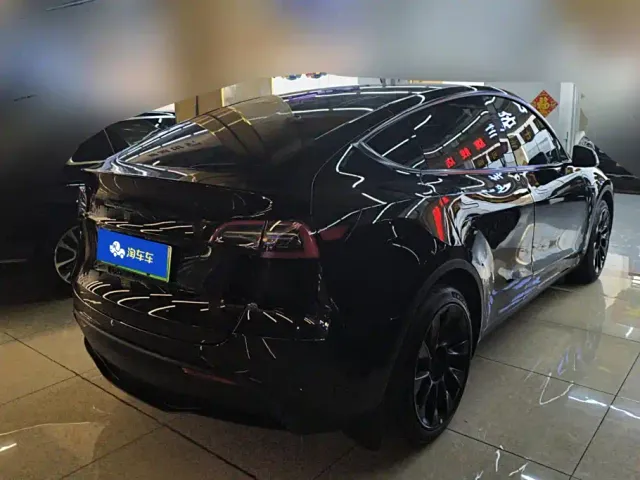 Tesla Model Y — Фото автомобиля 3