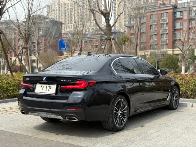 BMW 5 Series — Фото автомобиля 20