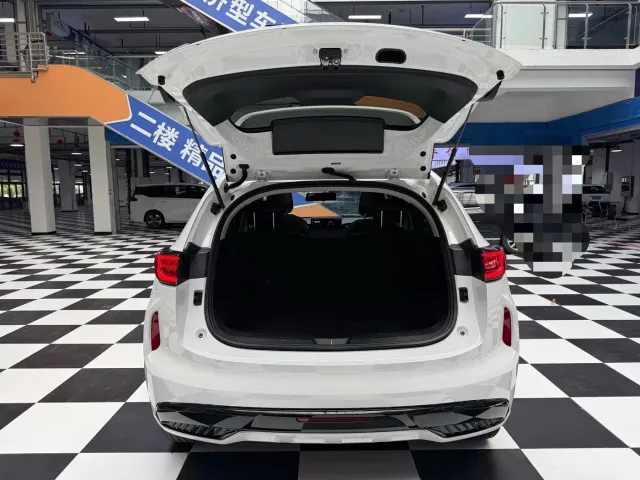 Haval Chitu — Фото автомобиля 24