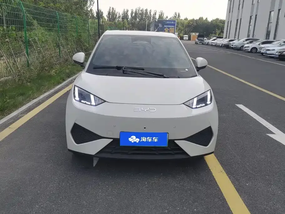 BYD Seagull 2025 Smart Driving Edition 405km Flying Edition — Фото автомобиля 2