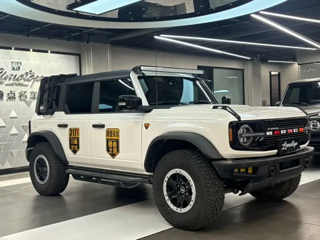 Ford Bronco — Фото автомобиля 3