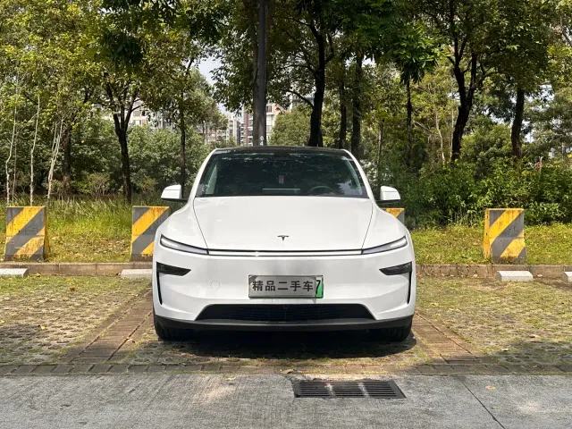 Tesla Model Y — Фото автомобиля 2