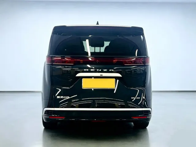 Denza D9 — Фото автомобиля 5