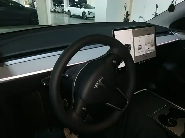 Tesla Model Y — Фото автомобиля 9