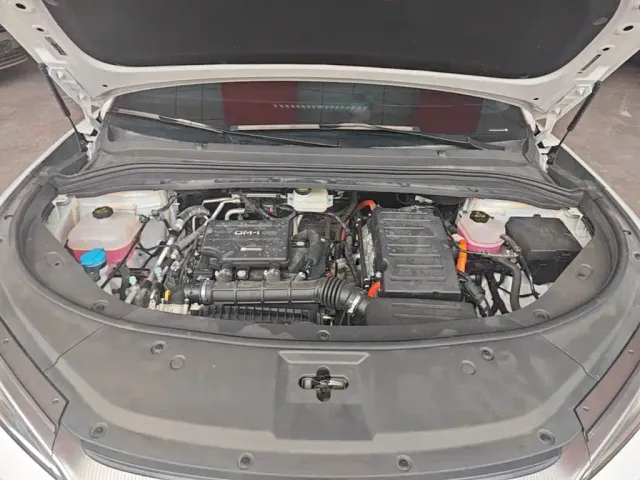 BYD Song L DM-i — Фото автомобиля 15