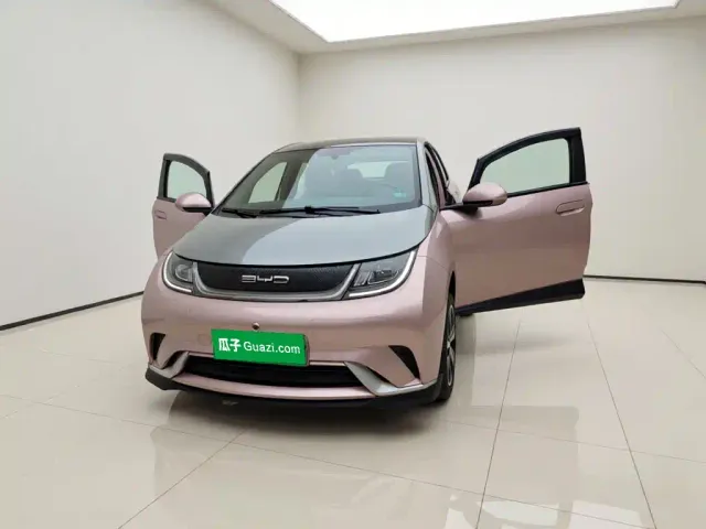 BYD Dolphin — Фото автомобиля 2