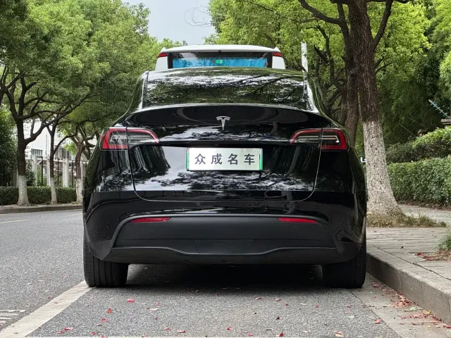 Tesla Model Y — Фото автомобиля 5