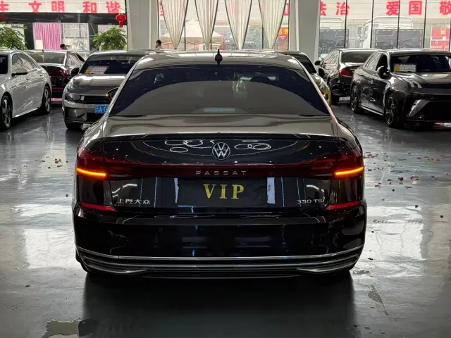 Volkswagen Passat — Фото автомобиля 9