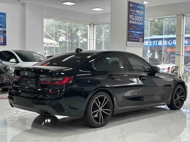 BMW 3 Series — Фото автомобиля 9