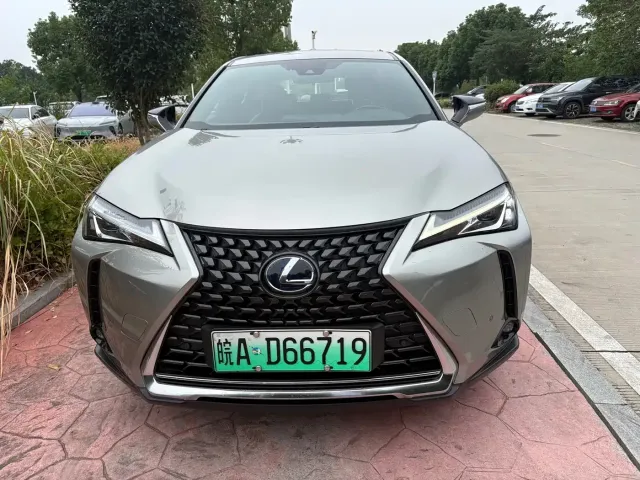 Lexus Lexus UX Electric 2020 300e Pure Enjoyment Edition — Фото автомобиля 2