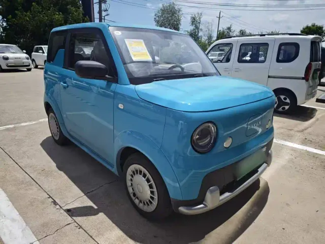 Livan Ruilan Blue Elf — Фото автомобиля 3