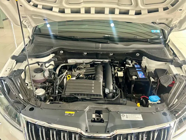 Skoda Karoq — Фото автомобиля 12