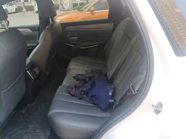 BYD Song L DM-i — Фото автомобиля 13