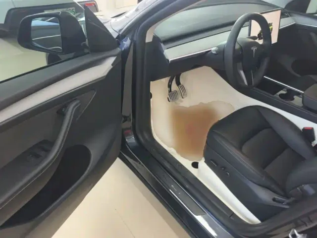 Tesla Model Y — Фото автомобиля 15