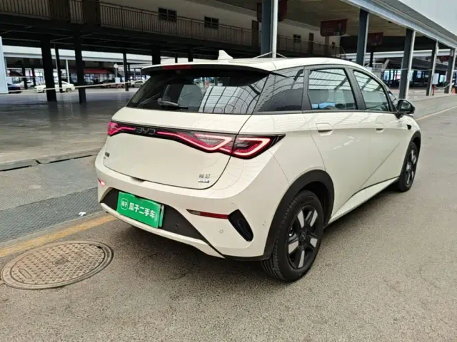 BYD Dolphin — Фото автомобиля 6