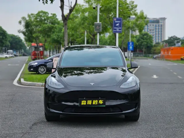 Tesla Model Y — Фото автомобиля 2