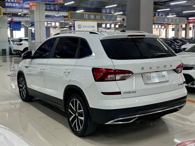 Skoda Kamiq — Фото автомобиля 6