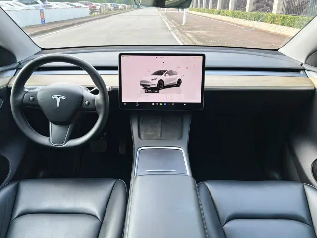 Tesla Model Y — Фото автомобиля 9