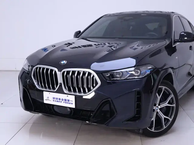 BMW X6 — Фото автомобиля 3