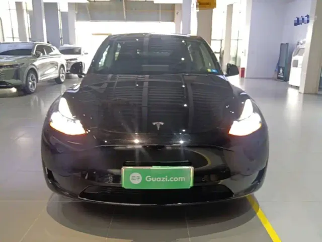 Tesla Model Y — Фото автомобиля 2